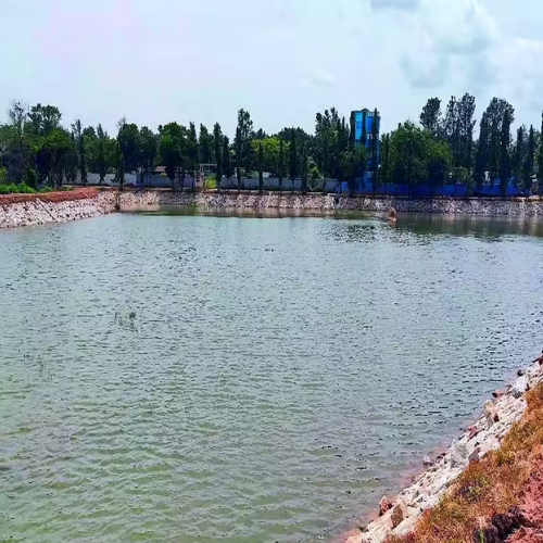 Giddenahalli Lake Restoration